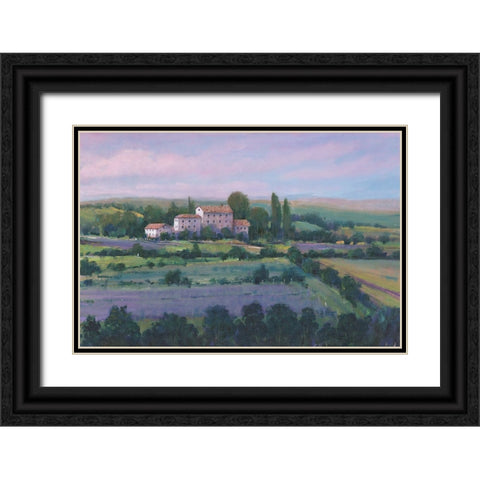 Soft Lavender Fields II Black Ornate Wood Framed Art Print with Double Matting by OToole, Tim