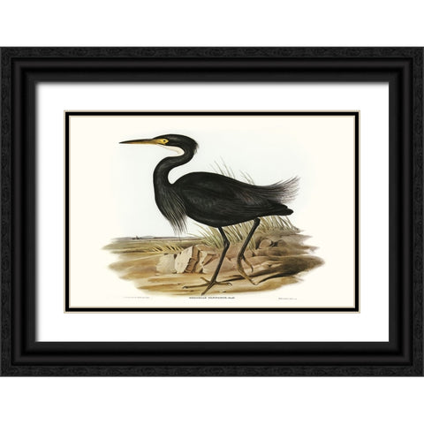 Majestic Waterbird IV Black Ornate Wood Framed Art Print with Double Matting by Gould, Elizabeth