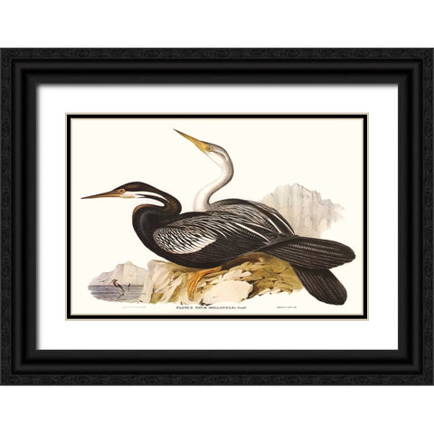 Waterbird Pairing V Black Ornate Wood Framed Art Print with Double Matting by Gould, Elizabeth