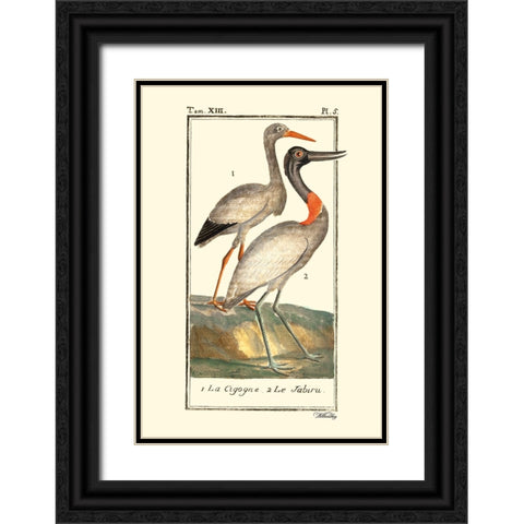Custom Buffon Cranes And Herons I Black Ornate Wood Framed Art Print with Double Matting by Buffon