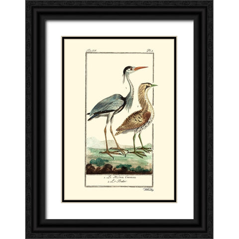 Custom Buffon Cranes And Herons III Black Ornate Wood Framed Art Print with Double Matting by Buffon