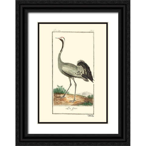 Custom Buffon Cranes And Herons IV Black Ornate Wood Framed Art Print with Double Matting by Buffon