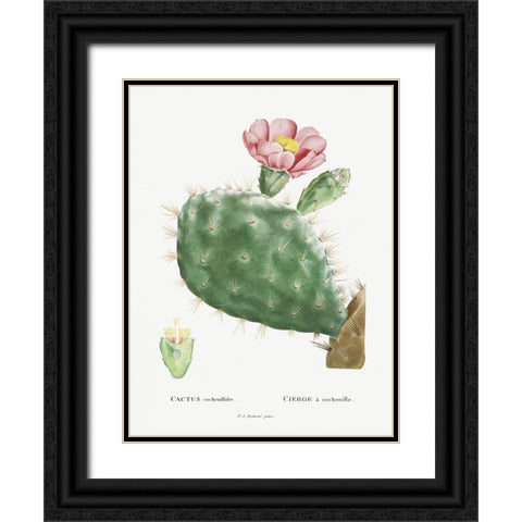 Redoute Cactus III Black Ornate Wood Framed Art Print with Double Matting by Redoute, Pierre