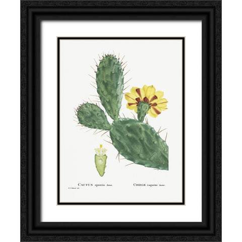 Redoute Cactus IV Black Ornate Wood Framed Art Print with Double Matting by Redoute, Pierre