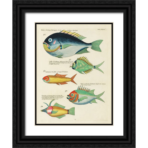 Renard Tropical Fish I Black Ornate Wood Framed Art Print with Double Matting by Renard, Louis