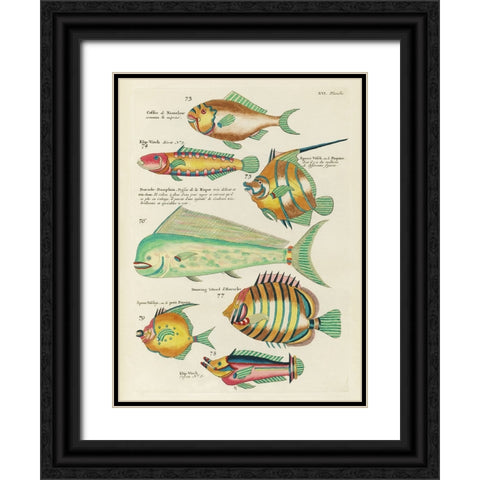 Renard Tropical Fish II Black Ornate Wood Framed Art Print with Double Matting by Renard, Louis