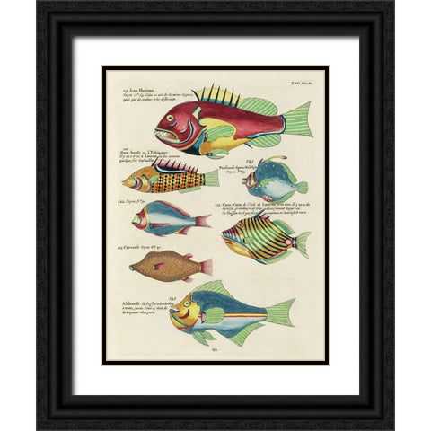 Renard Tropical Fish III Black Ornate Wood Framed Art Print with Double Matting by Renard, Louis