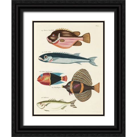 Renard Tropical Fish IV Black Ornate Wood Framed Art Print with Double Matting by Renard, Louis