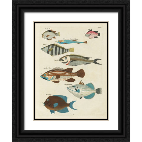 Renard Tropical Fish V Black Ornate Wood Framed Art Print with Double Matting by Renard, Louis