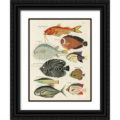 Renard Tropical Fish VI Black Ornate Wood Framed Art Print with Double Matting by Renard, Louis