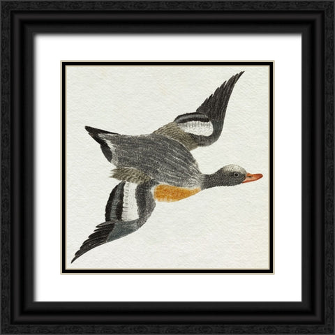 Flying Ducks I Black Ornate Wood Framed Art Print with Double Matting by Teyler, Johan