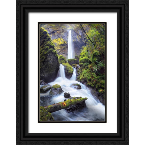 Rapid Waterfall I Black Ornate Wood Framed Art Print with Double Matting by Drost, David