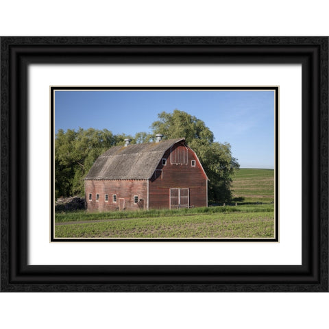 Rustic Palouse Barn I Black Ornate Wood Framed Art Print with Double Matting by Drost, David