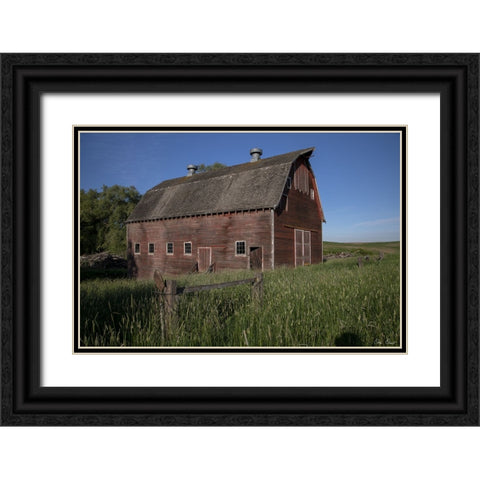 Rustic Palouse Barn II Black Ornate Wood Framed Art Print with Double Matting by Drost, David
