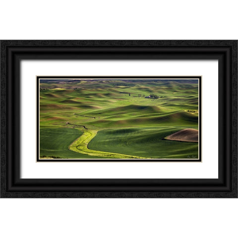 The Palouse Countryside  I Black Ornate Wood Framed Art Print with Double Matting by Drost, David