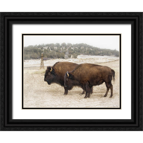 Twin Buffalo Black Ornate Wood Framed Art Print with Double Matting by Drost, David