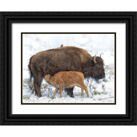 Mothers Milk Black Ornate Wood Framed Art Print with Double Matting by Drost, David