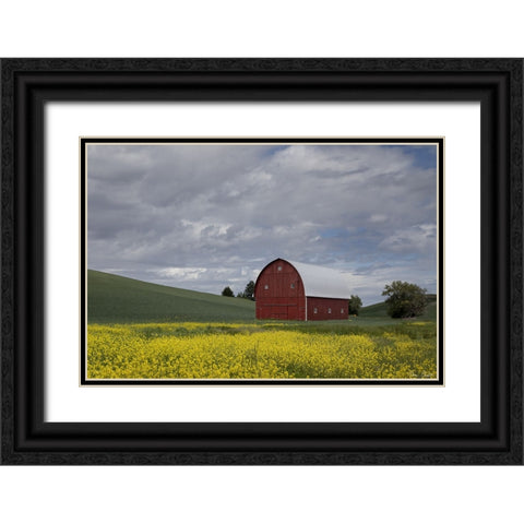 Palouse Barn and Flowers I Black Ornate Wood Framed Art Print with Double Matting by Drost, David