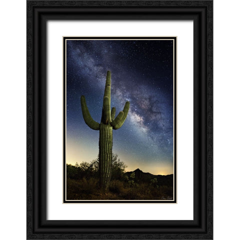 Desert Lights I Black Ornate Wood Framed Art Print with Double Matting by Drost, David