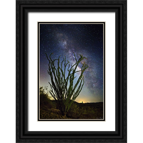 Desert Lights II Black Ornate Wood Framed Art Print with Double Matting by Drost, David