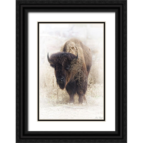 Standing Buffalo II Black Ornate Wood Framed Art Print with Double Matting by Drost, David