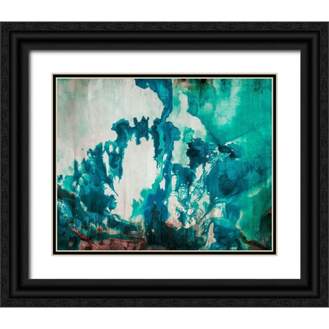 Icecap Black Ornate Wood Framed Art Print with Double Matting by Taylor, Kari