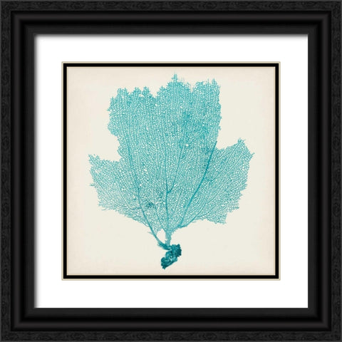 Sea Fan III Black Ornate Wood Framed Art Print with Double Matting by Vision Studio