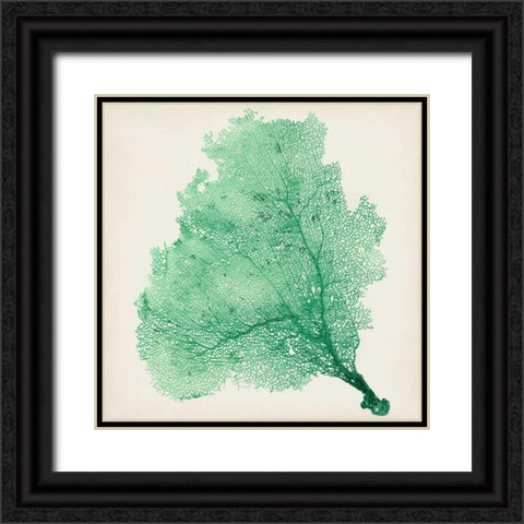 Sea Fan VII Black Ornate Wood Framed Art Print with Double Matting by Vision Studio