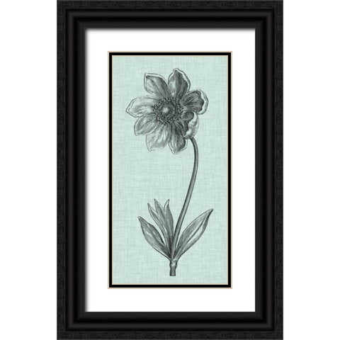 Celadon Beauty II Black Ornate Wood Framed Art Print with Double Matting by Vision Studio