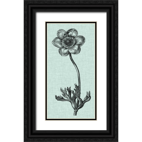 Celadon Beauty IV Black Ornate Wood Framed Art Print with Double Matting by Vision Studio