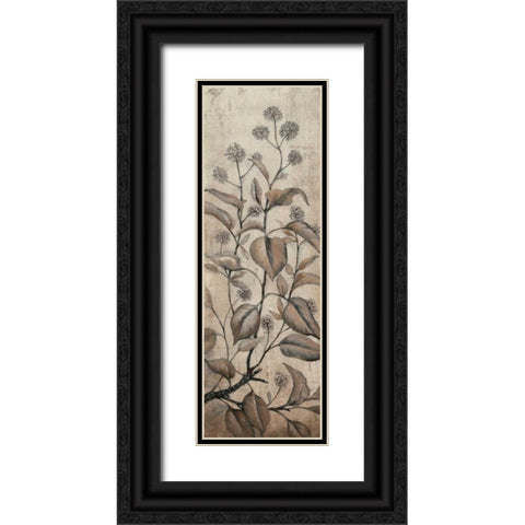 Branch and Blossoms II Black Ornate Wood Framed Art Print with Double Matting by OToole, Tim