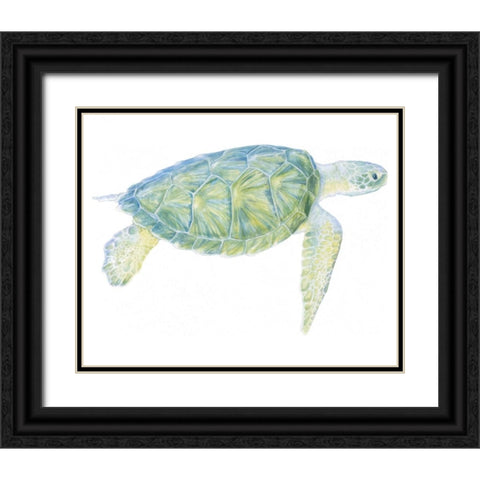 Tranquil Sea Turtle I Black Ornate Wood Framed Art Print with Double Matting by Meagher, Megan