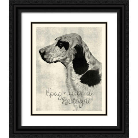 B and W Epagneul de Bretagne Black Ornate Wood Framed Art Print with Double Matting by Vision Studio