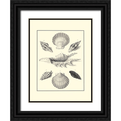 BW Studies in Symmetry I Black Ornate Wood Framed Art Print with Double Matting by Knorr