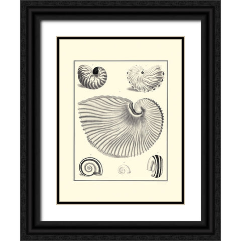 BW Studies in Symmetry II Black Ornate Wood Framed Art Print with Double Matting by Knorr