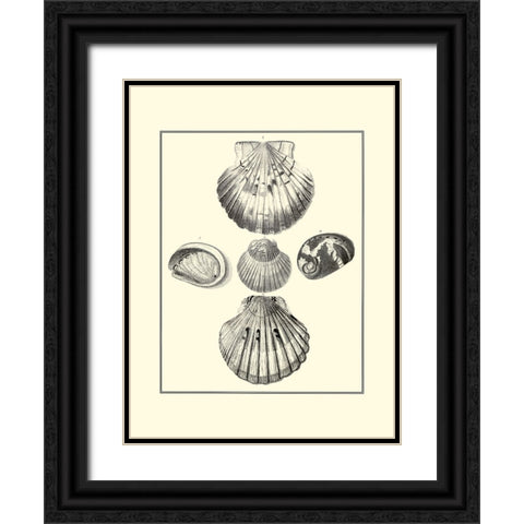 BW Studies in Symmetry V Black Ornate Wood Framed Art Print with Double Matting by Knorr