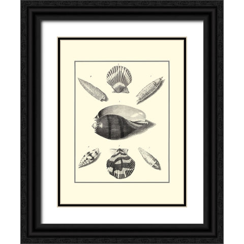 BW Studies in Symmetry VI Black Ornate Wood Framed Art Print with Double Matting by Knorr