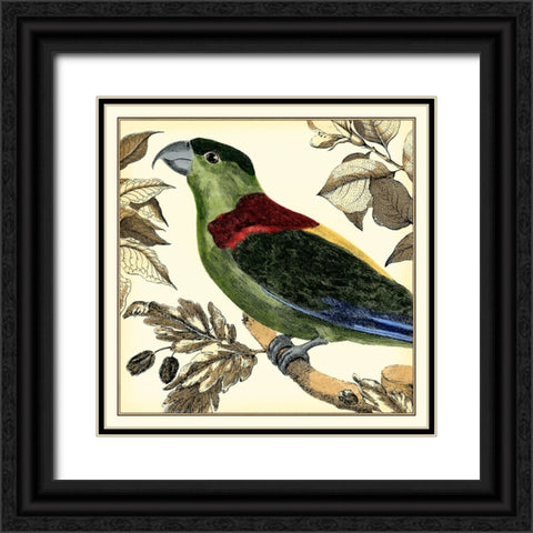 Tropical Parrot IV Black Ornate Wood Framed Art Print with Double Matting by Martinet