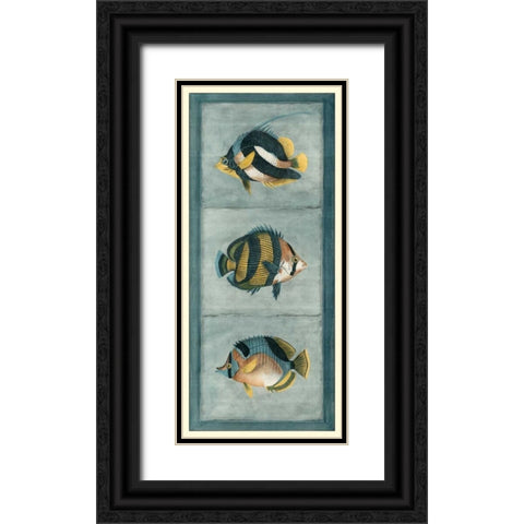 Tropical Fish Trio II Black Ornate Wood Framed Art Print with Double Matting by Vision Studio