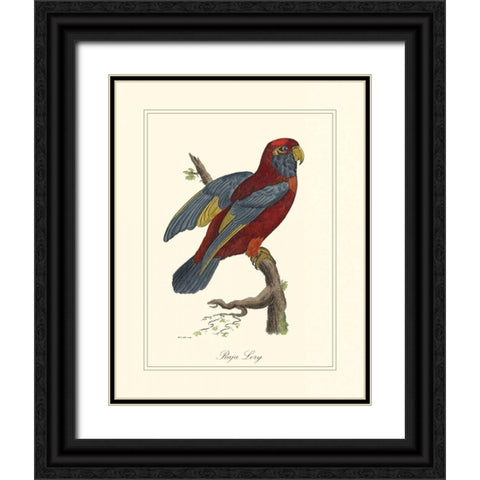 Raja Lory Black Ornate Wood Framed Art Print with Double Matting by Edwards, George