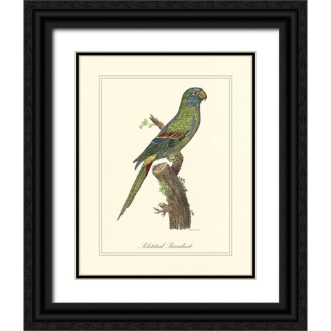 Solstitial Parrakeet Black Ornate Wood Framed Art Print with Double Matting by Edwards, George