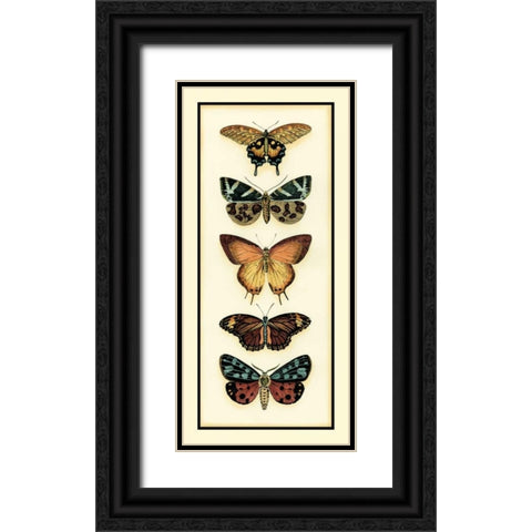 Butterfly Collector V Black Ornate Wood Framed Art Print with Double Matting by Zarris, Chariklia