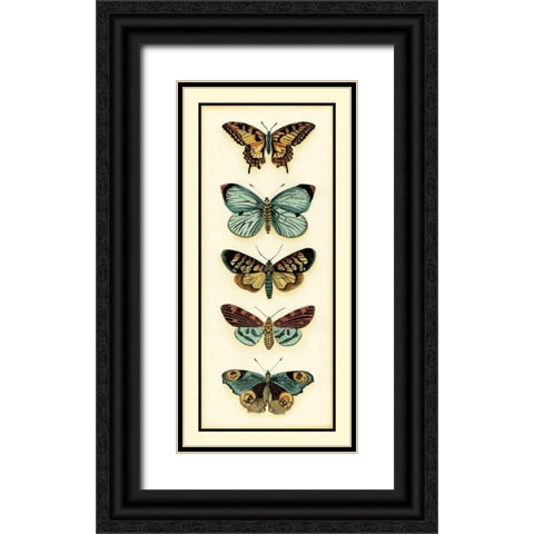 Butterfly Collector VI Black Ornate Wood Framed Art Print with Double Matting by Zarris, Chariklia
