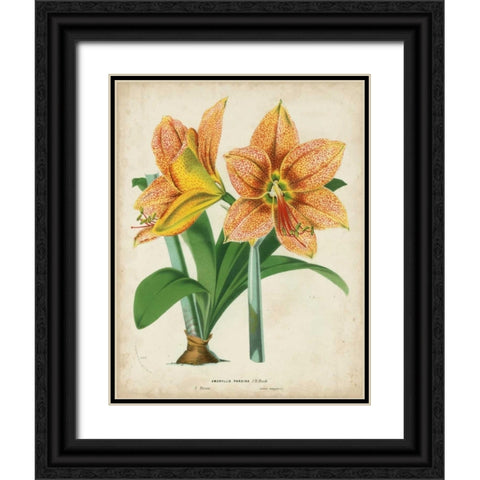 Tropical Array I Black Ornate Wood Framed Art Print with Double Matting by Van Houtteano, Horto