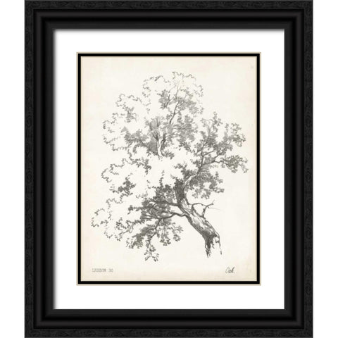 Oak Tree Study Black Ornate Wood Framed Art Print with Double Matting by Unknown