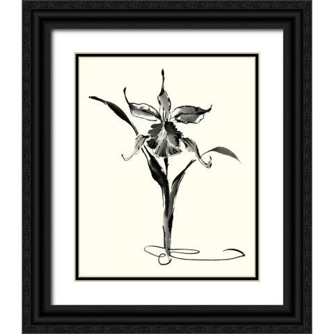 Studies in Ink - Cattleya Black Ornate Wood Framed Art Print with Double Matting by Rae, Nan