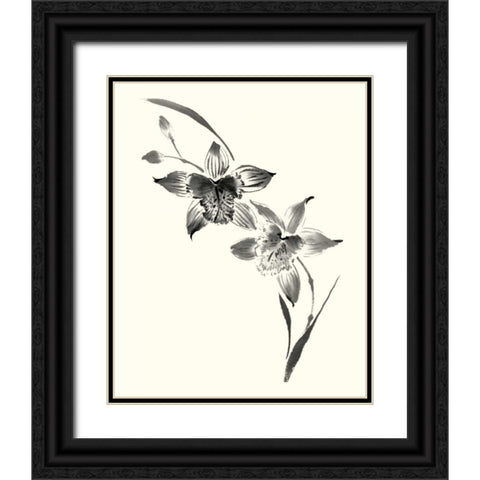 Studies in Ink - Cymbidium Black Ornate Wood Framed Art Print with Double Matting by Rae, Nan