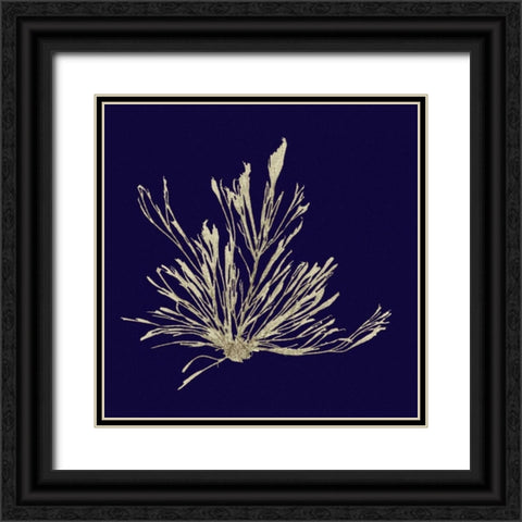 Seaweed on Navy III Black Ornate Wood Framed Art Print with Double Matting by Vision Studio