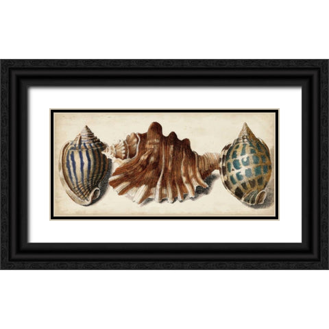Shell Trio II Black Ornate Wood Framed Art Print with Double Matting by Vision Studio