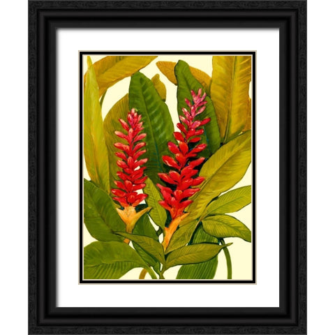 Tropical Red Ginger Black Ornate Wood Framed Art Print with Double Matting by OToole, Tim